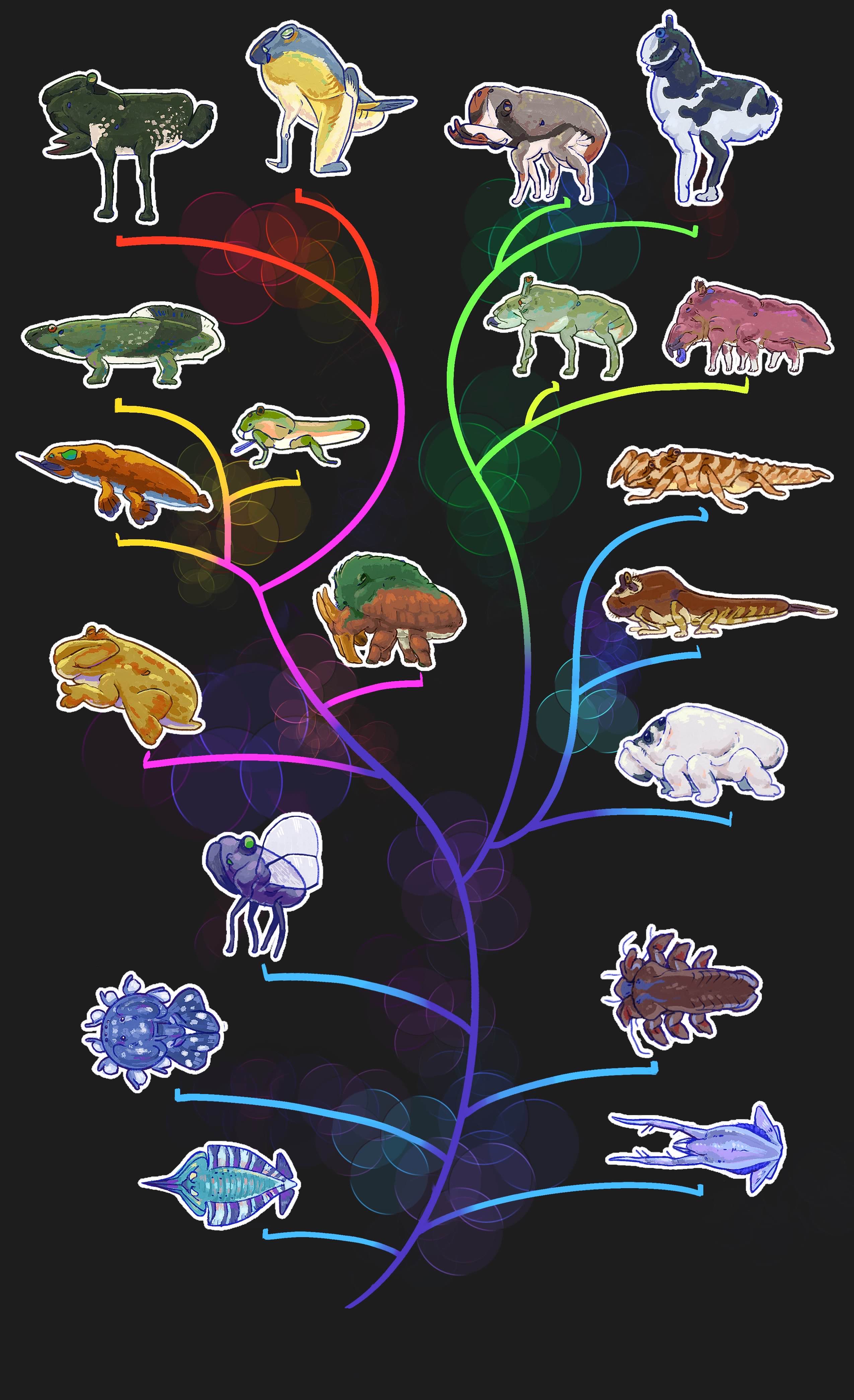Ossacava phylogenetic tree