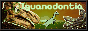 iguanodoes